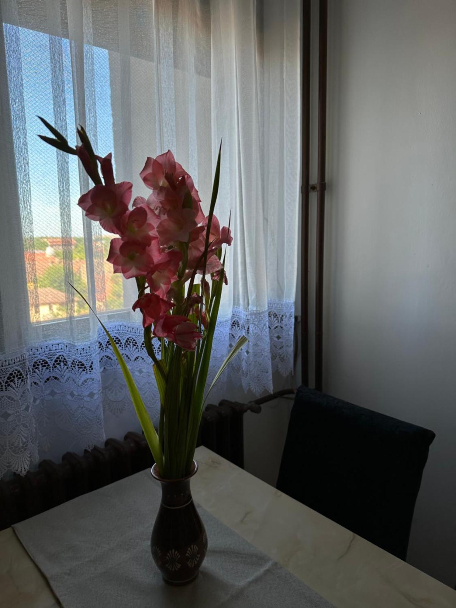 Tamaris Apartment Subotica Bagian luar foto
